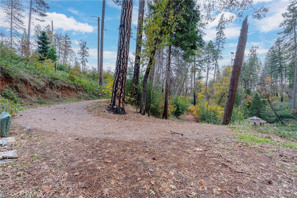 1770 Heynen Road Paradise, CA 95969 - Photo 10 of 18 a view of a field with trees in the background