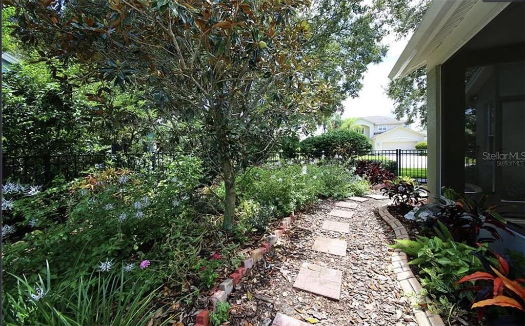 5324 Cottonwood Tree Circle Valrico, FL 33596 - Photo 22 of 27 a view of a back yard of the house