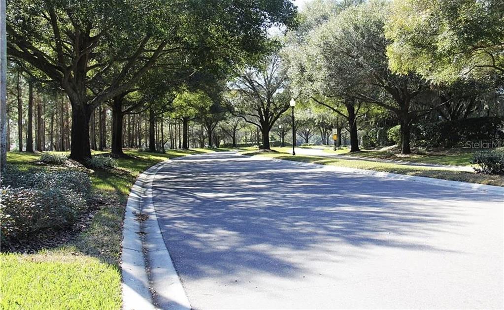 5324 Cottonwood Tree Circle Valrico, FL 33596 - Photo 26 of 27 a view of a park with large trees