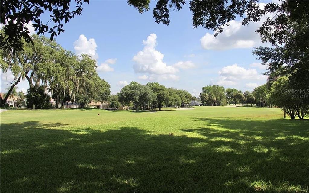 5324 Cottonwood Tree Circle Valrico, FL 33596 - Photo 27 of 27 a view of a golf course with a lake