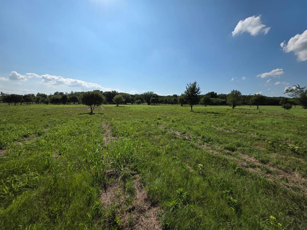 Tbd Naylor Road Oak Point, TX 75068 - Photo 3 of 7 a view of an mountain and a yard