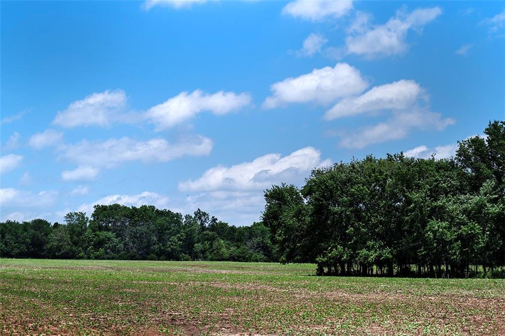Tbd Road Rich Hill, MO 64779 - Photo 2 of 19