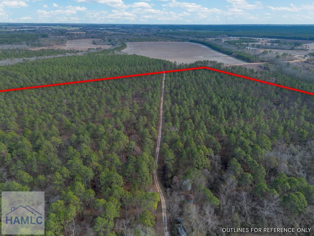 3 Reddish Road Screven, GA 31560 - Photo 8 of 55 Gallery Image 8