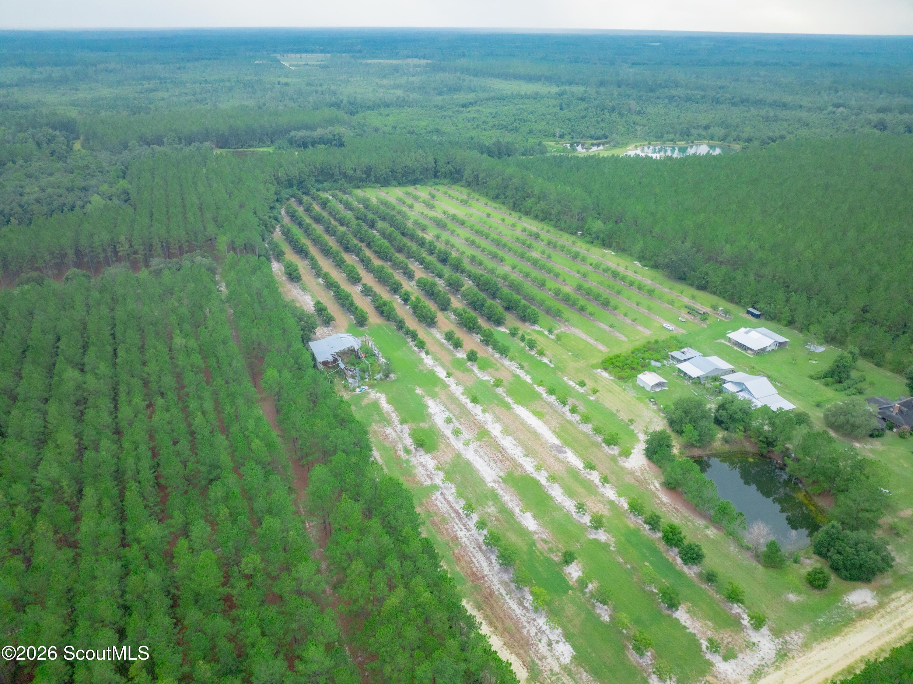 0 Deerfield Road Blackshear, GA 31516 - Photo 12 of 20 DJI_0345-HDR