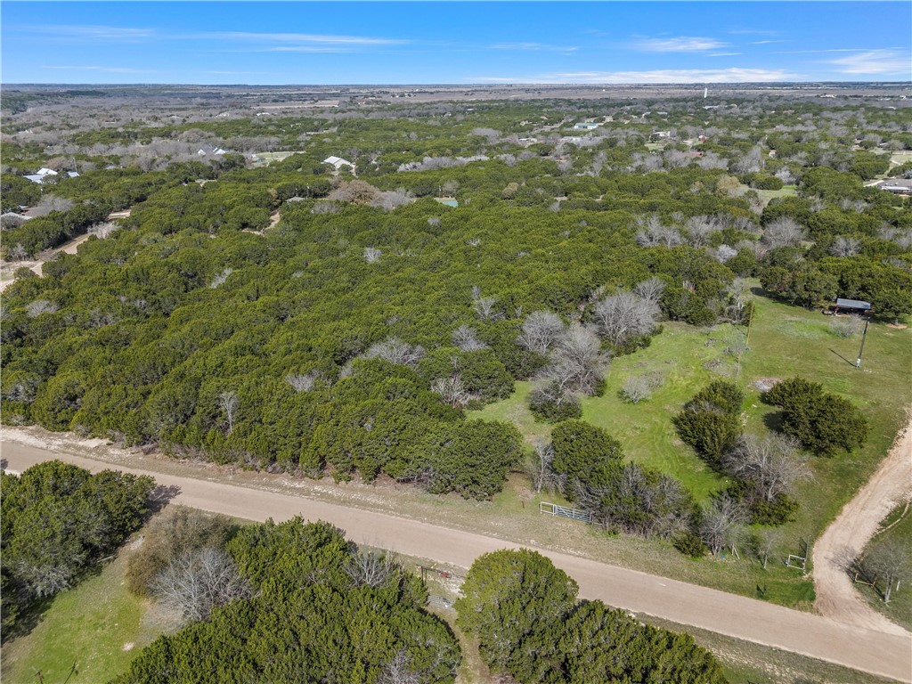 499 Benevolence Way China Spring, TX 76633 - Photo 6 of 9 a view of a city with lush green forest
