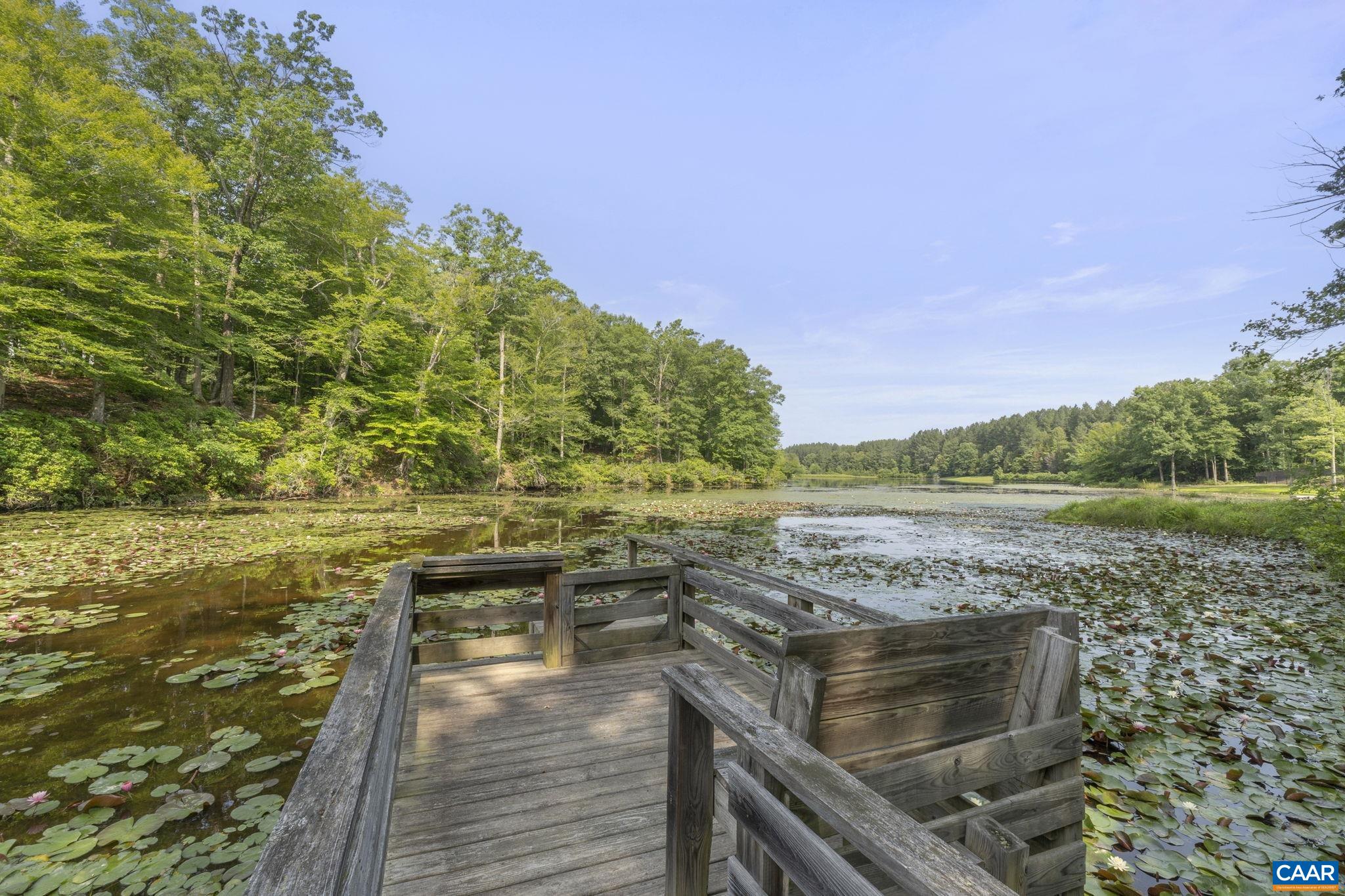 797 Willow Ridge Road Troy, VA 22974 - Photo 50 of 60 Gallery Image 50