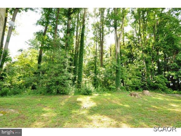 12706 Reynolds Road Milton, DE 19968 - Photo 20 of 24 Gallery Image 20