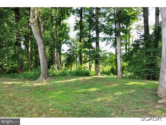 12706 Reynolds Road Milton, DE 19968 - Photo 23 of 24 Gallery Image 23