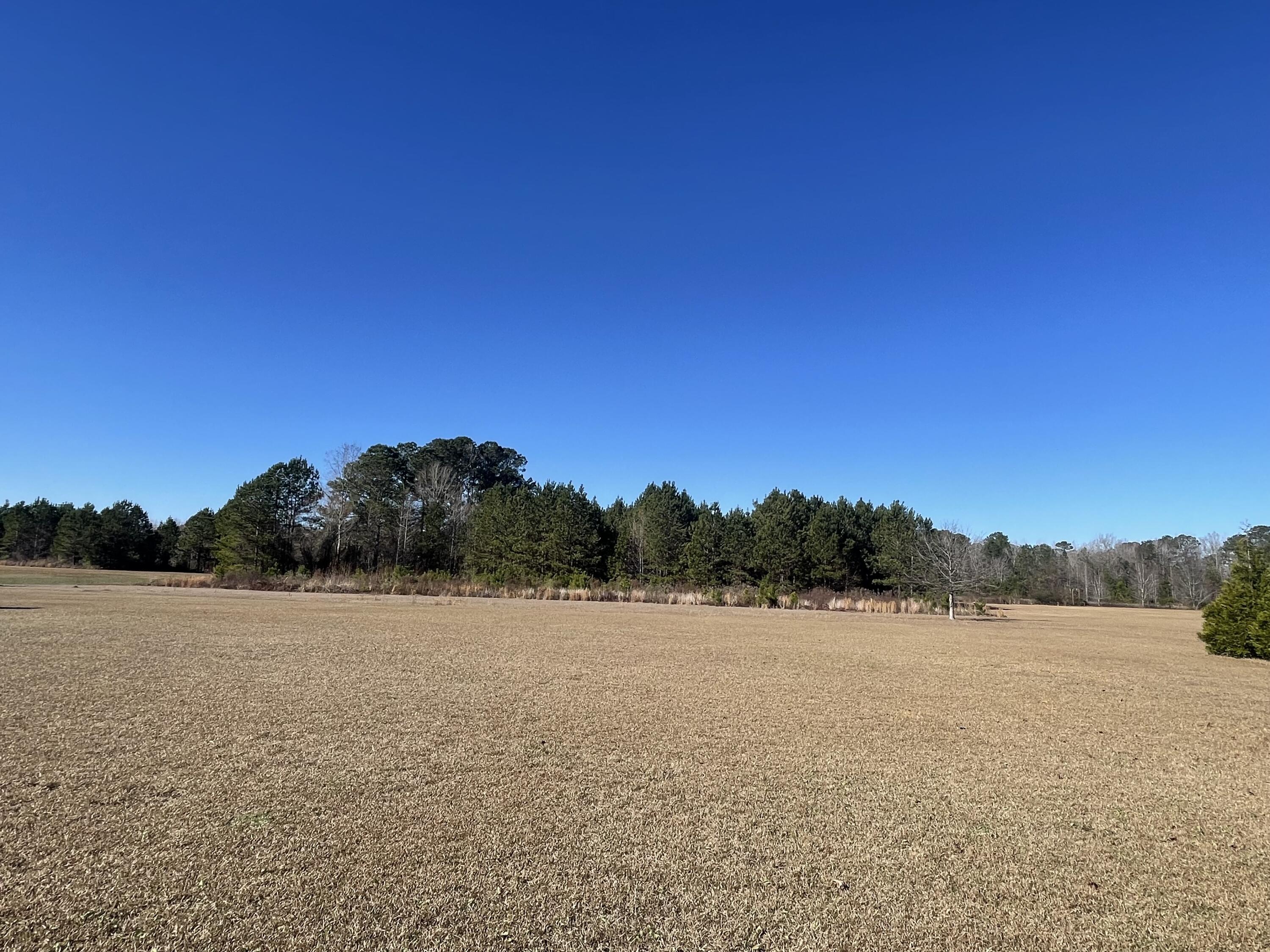 232 Pineland Road Vance, SC 29163 - Photo 38 of 51 IMG_4586