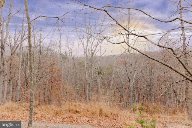 a backyard of a house