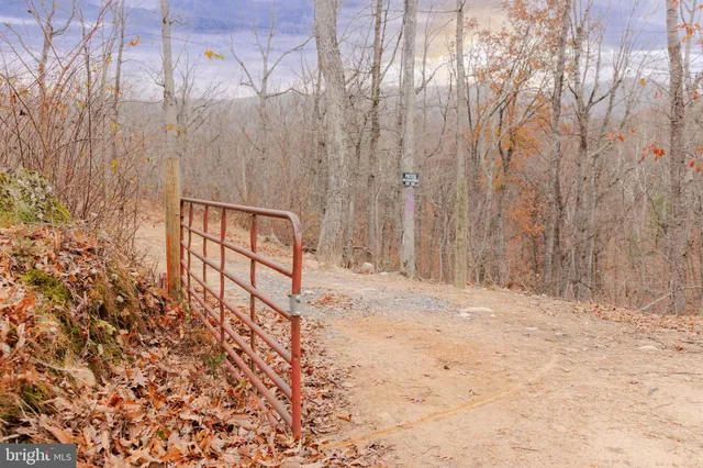 a view of wooden fence and trees