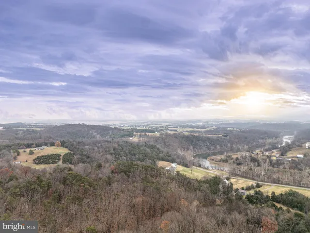an aerial view of houses covered in trees