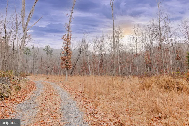 a view of a dry yard covered with snow