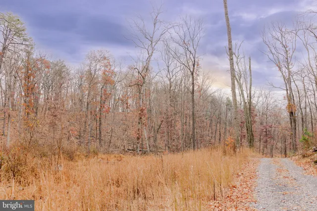 a view of small yard