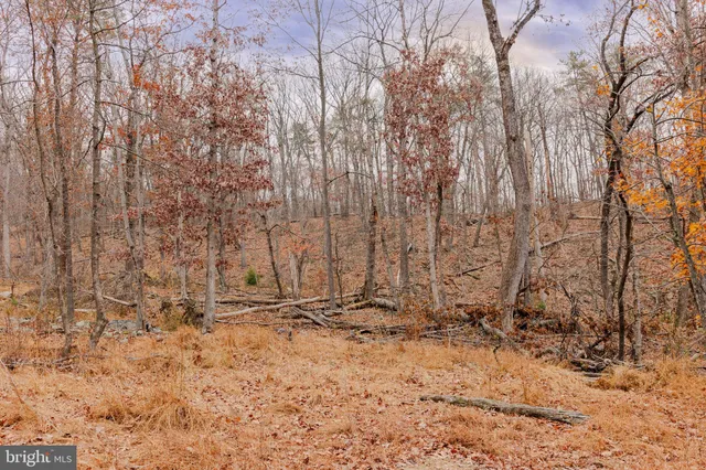 a view of outdoor space with wooden fence