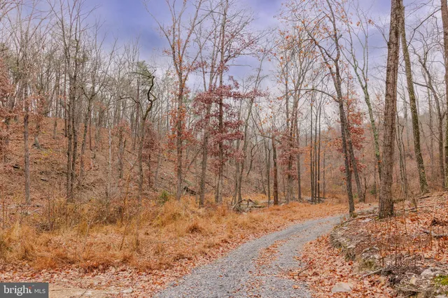 a view of a backyard of the house