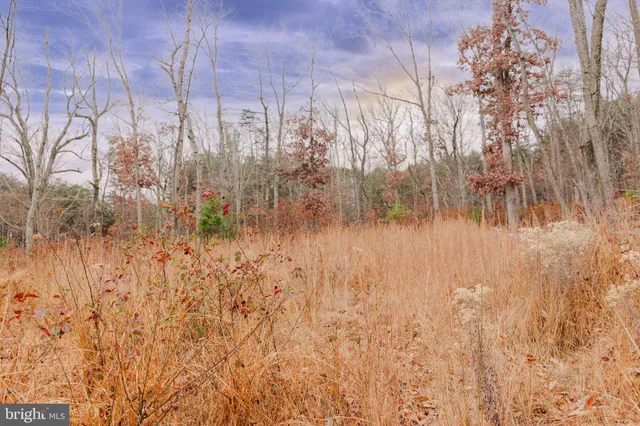 a view of a yard of the house