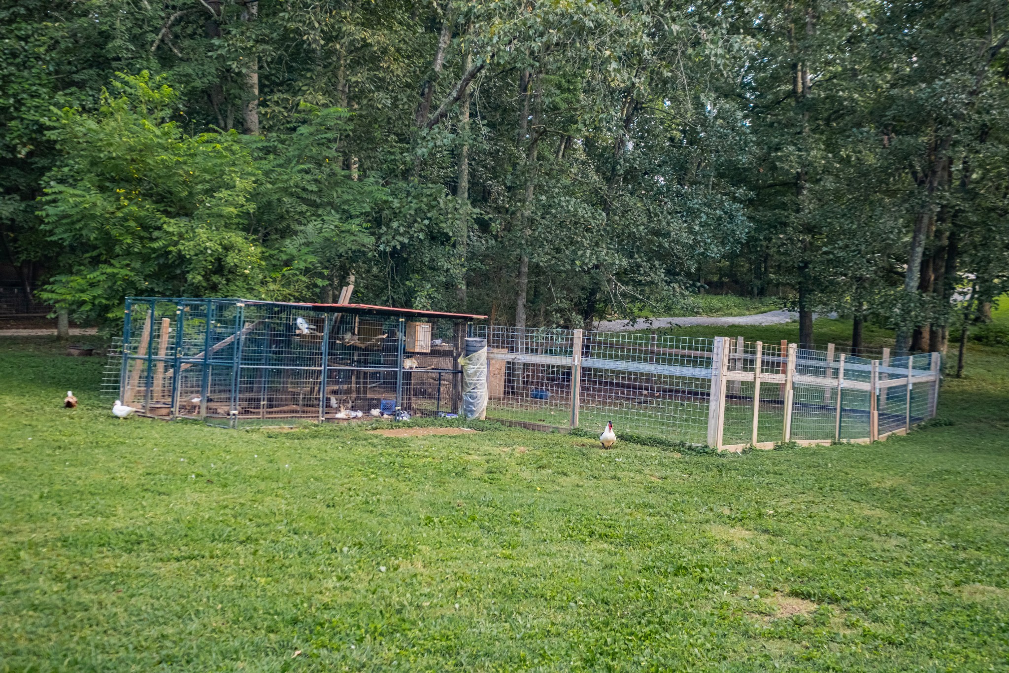 1450 Pleasant Hill Road McMinnville, TN 37110 - Photo 56 of 68