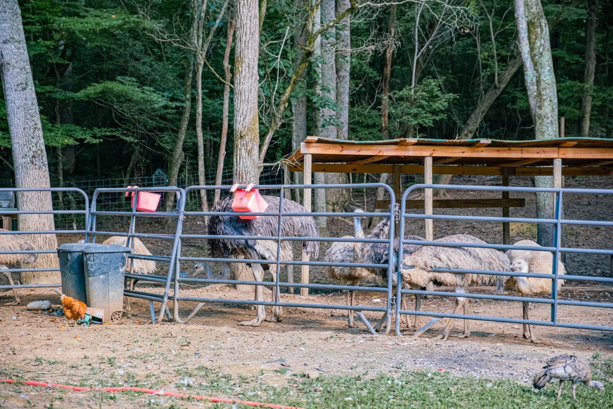 1450 Pleasant Hill Road McMinnville, TN 37110 - Photo 58 of 68 a view of outdoor space with seating