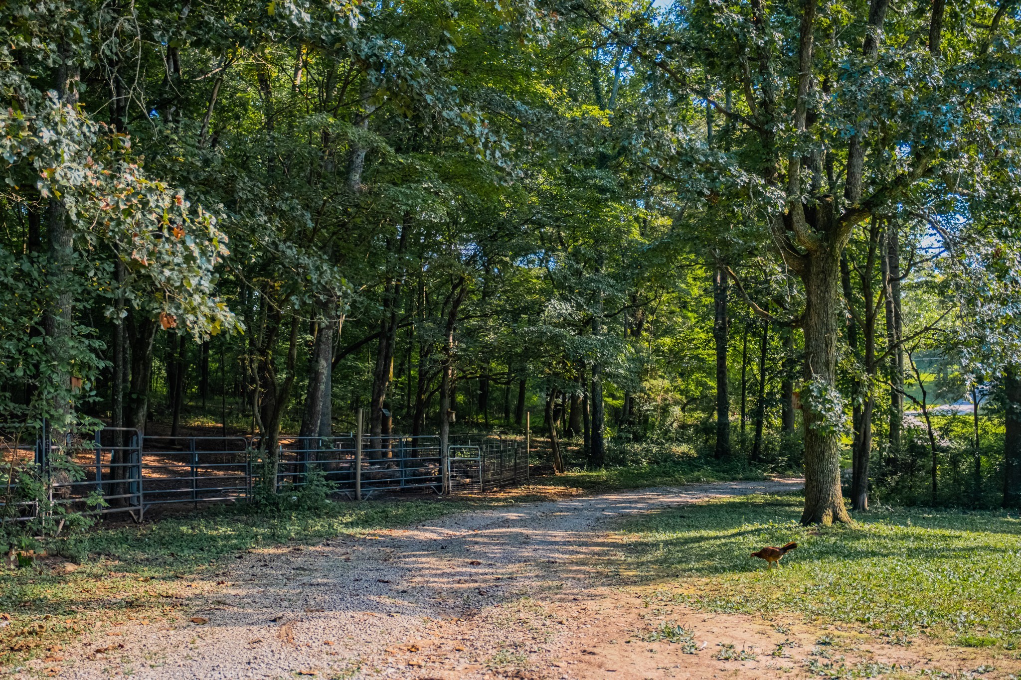 1450 Pleasant Hill Road McMinnville, TN 37110 - Photo 66 of 68 a view of a park