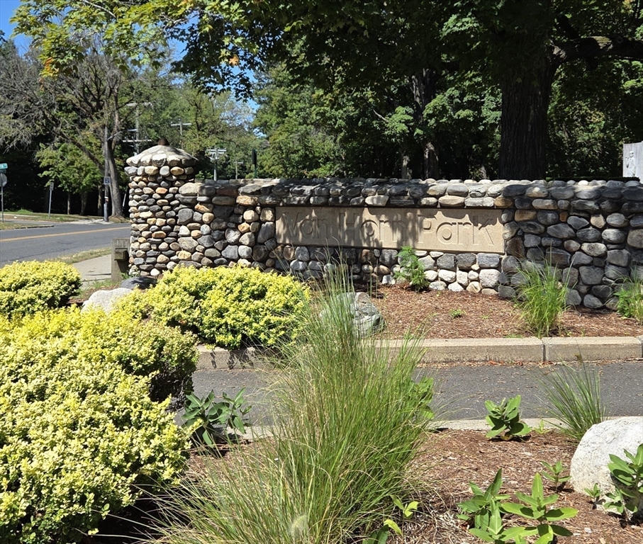 41 Nevada Street Springfield, MA 01107 - Photo 31 of 33 a view of a garden with flowers