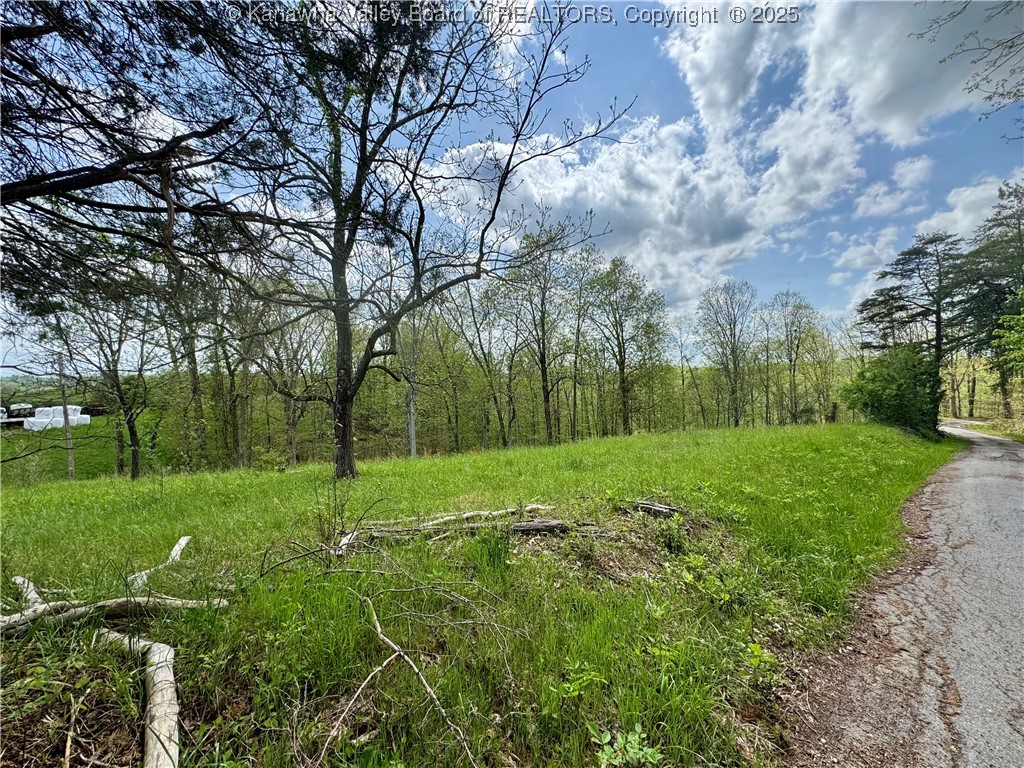 0 Sulug Road Leon, WV 25123 - Photo 1 of 18 Gallery Image 1