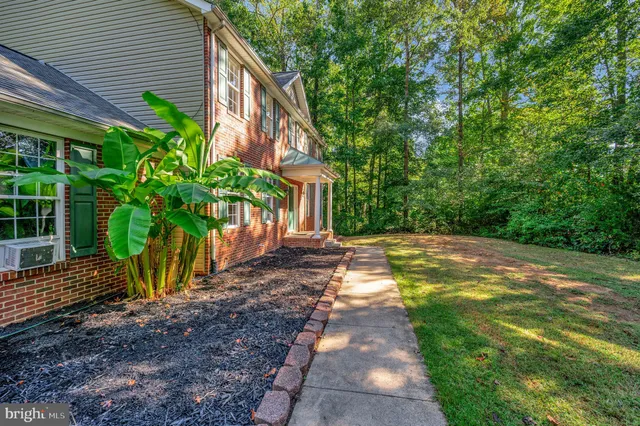 a view of a backyard with plants
