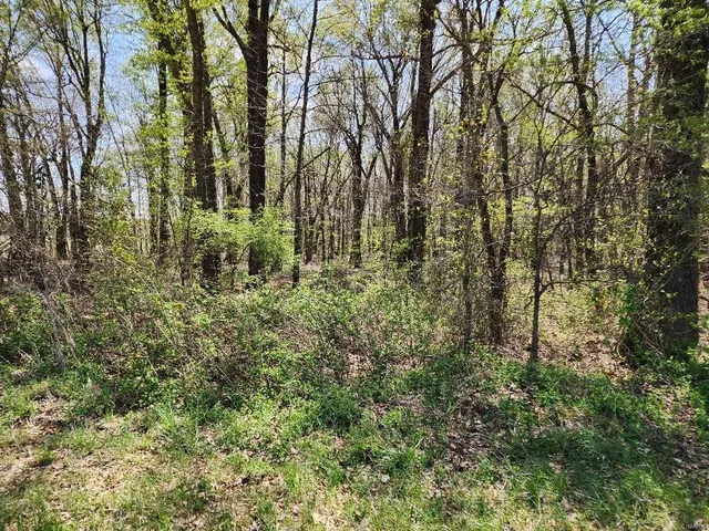 $60,000 | 0 South County Road 268, Neelyville, MO 63954