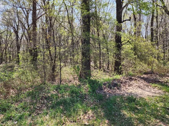 $60,000 | 0 South County Road 268, Neelyville, MO 63954