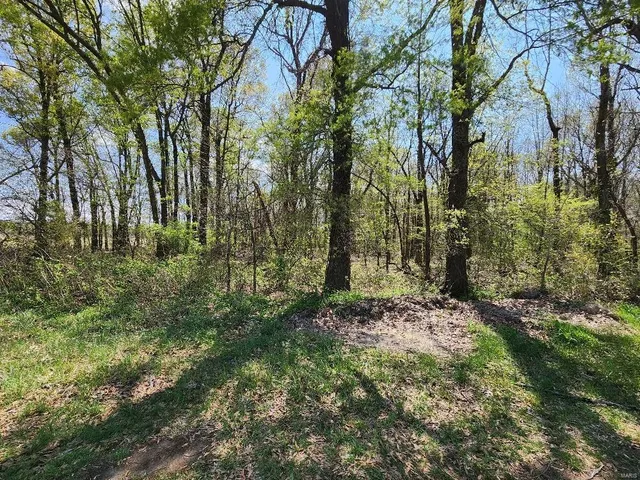 $60,000 | 0 South County Road 268, Neelyville, MO 63954