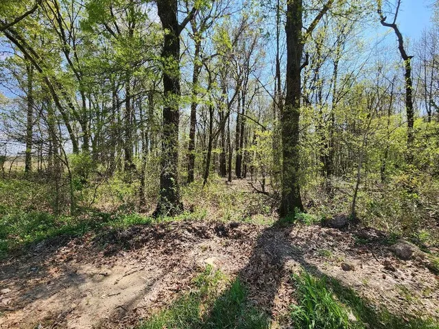 $60,000 | 0 South County Road 268, Neelyville, MO 63954