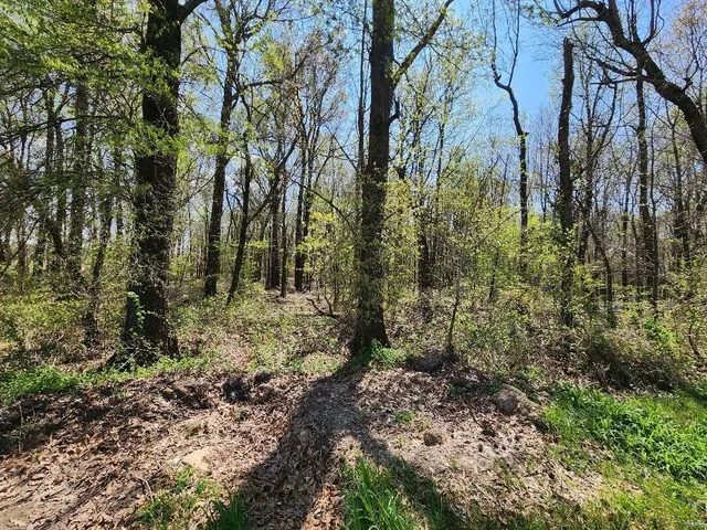 $60,000 | 0 South County Road 268, Neelyville, MO 63954