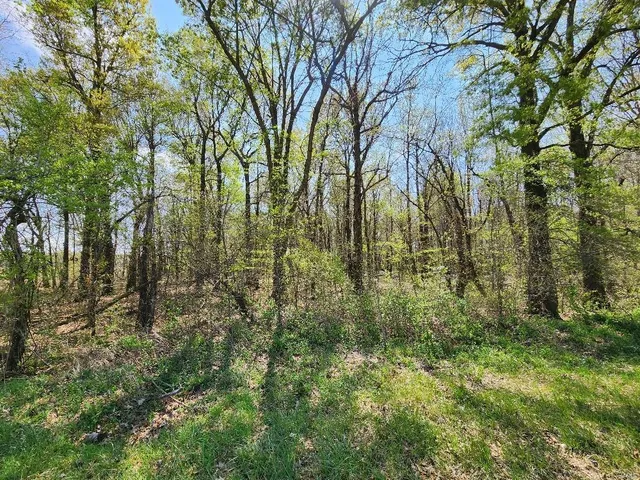 $60,000 | 0 South County Road 268, Neelyville, MO 63954