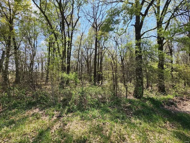 $60,000 | 0 South County Road 268, Neelyville, MO 63954