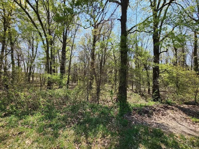 $60,000 | 0 South County Road 268, Neelyville, MO 63954
