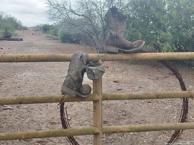 a view of a yard with wooden fence