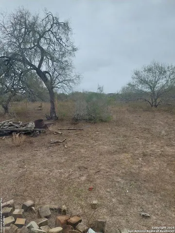 a view of a yard with a tree