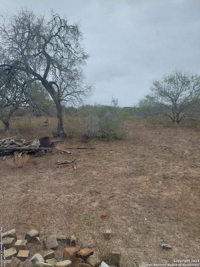22159 Pr 1080 Mathis, TX 78368 - Photo 3 of 15 a view of a yard with a tree