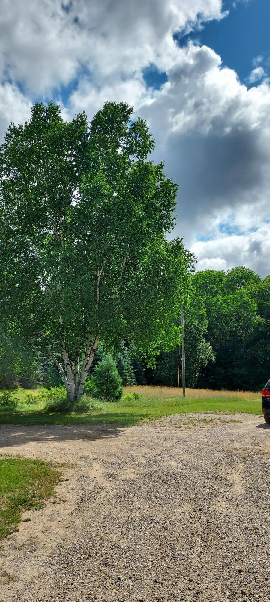 1795 Stonycroft Road Gaylord, MI 49735 - Photo 23 of 58 Gallery Image 23