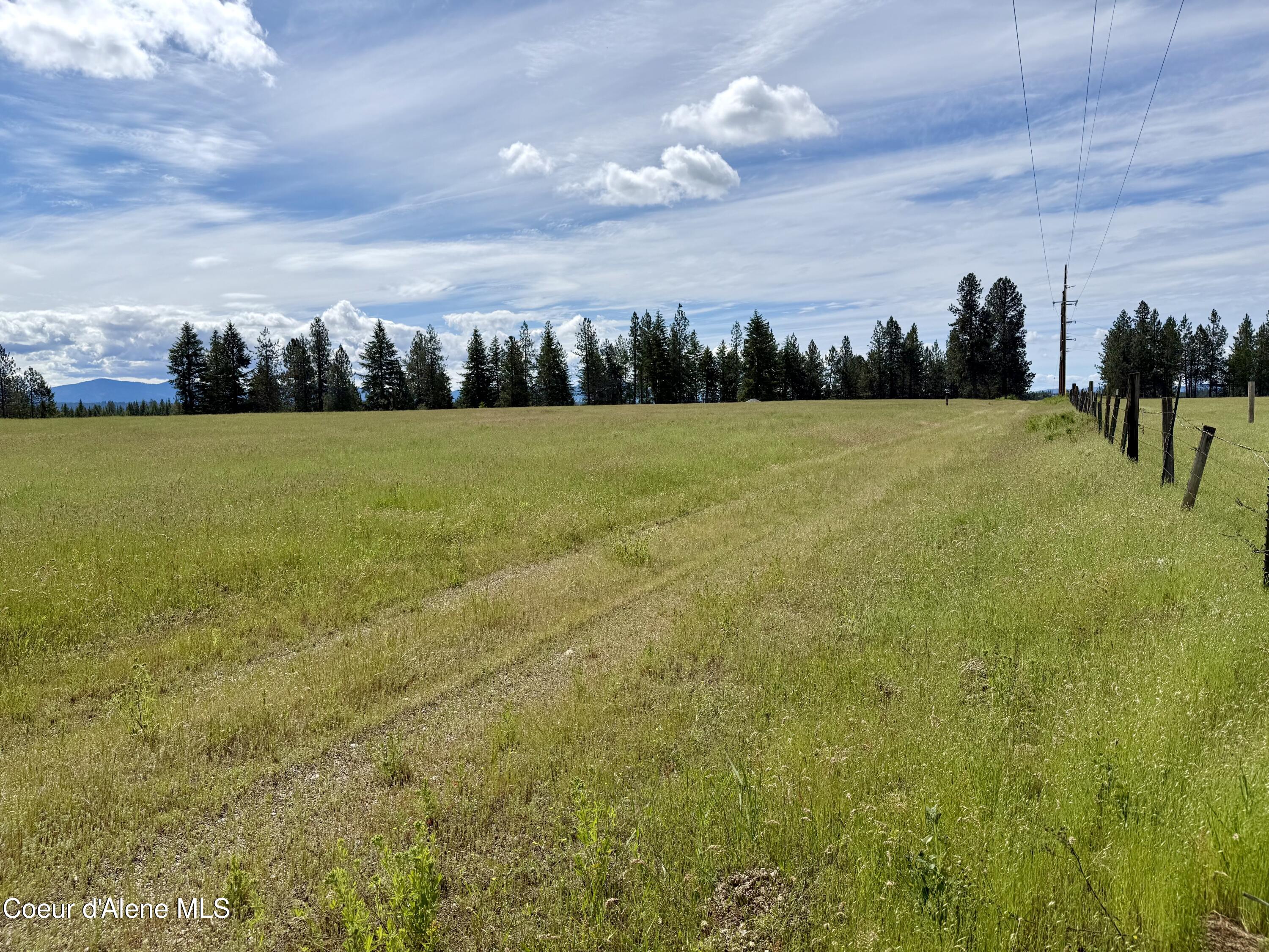 Lot 3 North Stonemason Way Rathdrum, ID 83858 - Photo 6 of 8 Partially fenced and lined with trees.