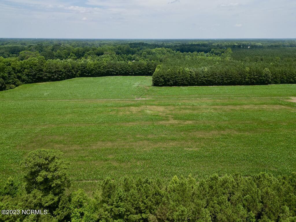 0 Highway 33 Chocowinity, NC 27817 - Photo 11 of 24 10
