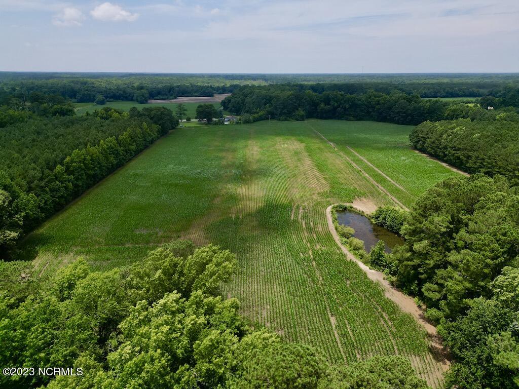 0 Highway 33 Chocowinity, NC 27817 - Photo 12 of 24 11
