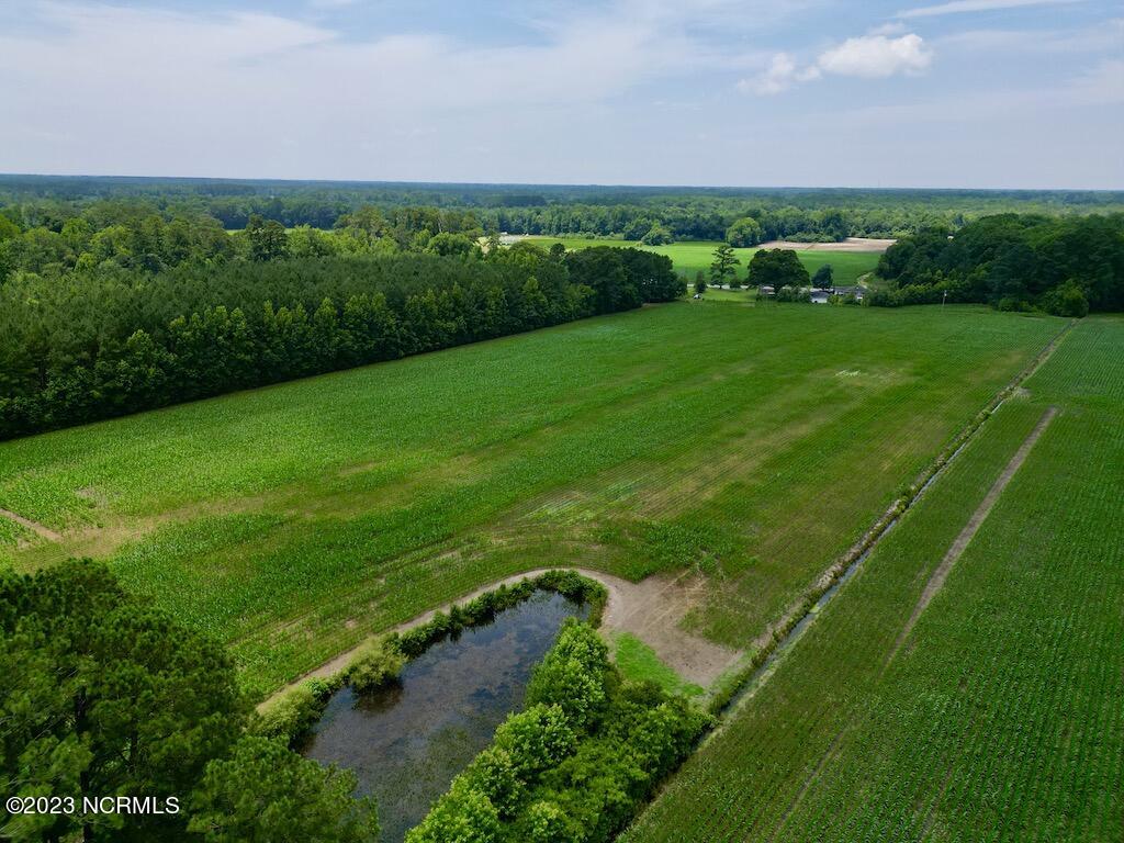 0 Highway 33 Chocowinity, NC 27817 - Photo 13 of 24 12