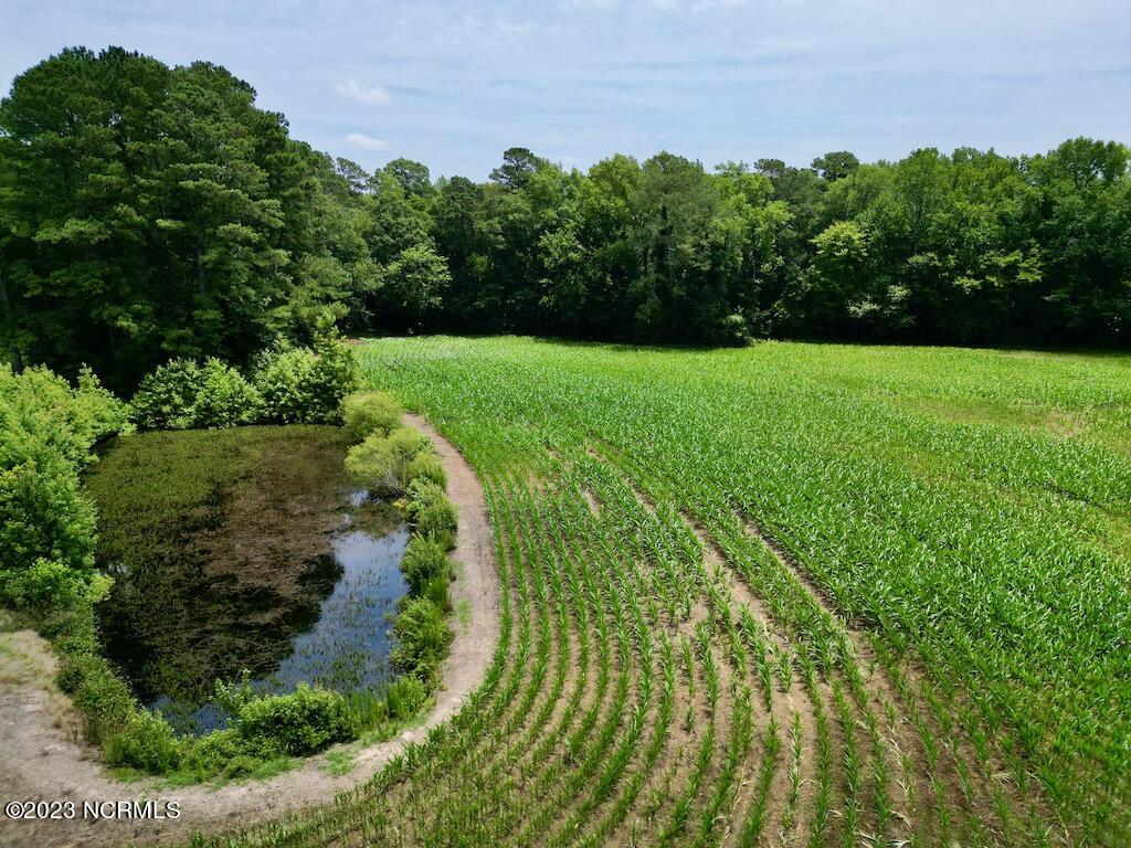 0 Highway 33 Chocowinity, NC 27817 - Photo 14 of 24 13