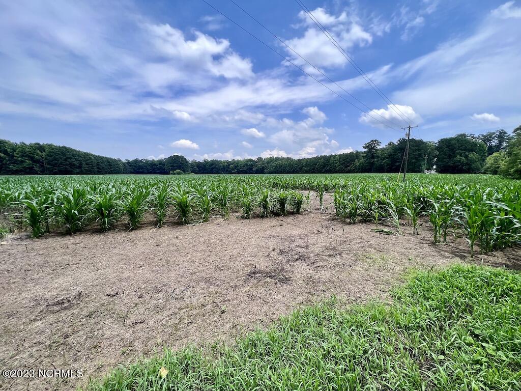 0 Highway 33 Chocowinity, NC 27817 - Photo 21 of 24 20