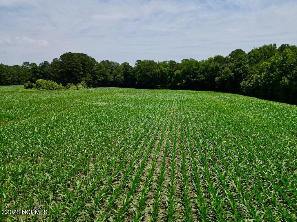 0 Highway 33 Chocowinity, NC 27817 - Photo 24 of 24 DJI_0102