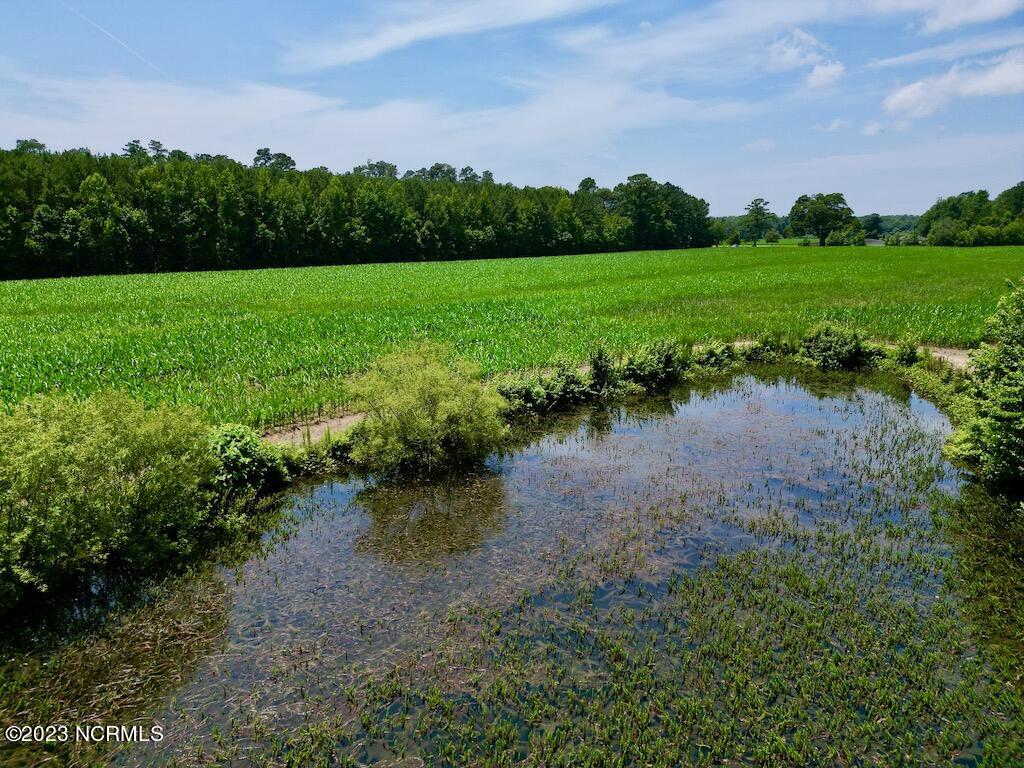 0 Highway 33 Chocowinity, NC 27817 - Photo 5 of 24 4