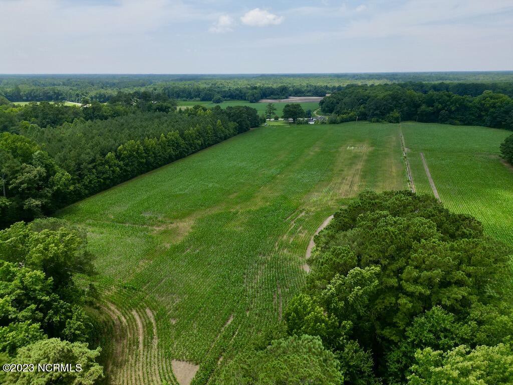 0 Highway 33 Chocowinity, NC 27817 - Photo 6 of 24 5