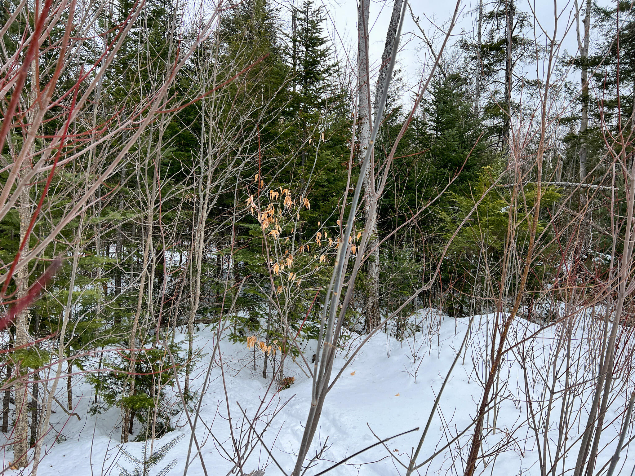 L25 River Road Lagrange, ME 04453 - Photo 14 of 29 IMG_3990