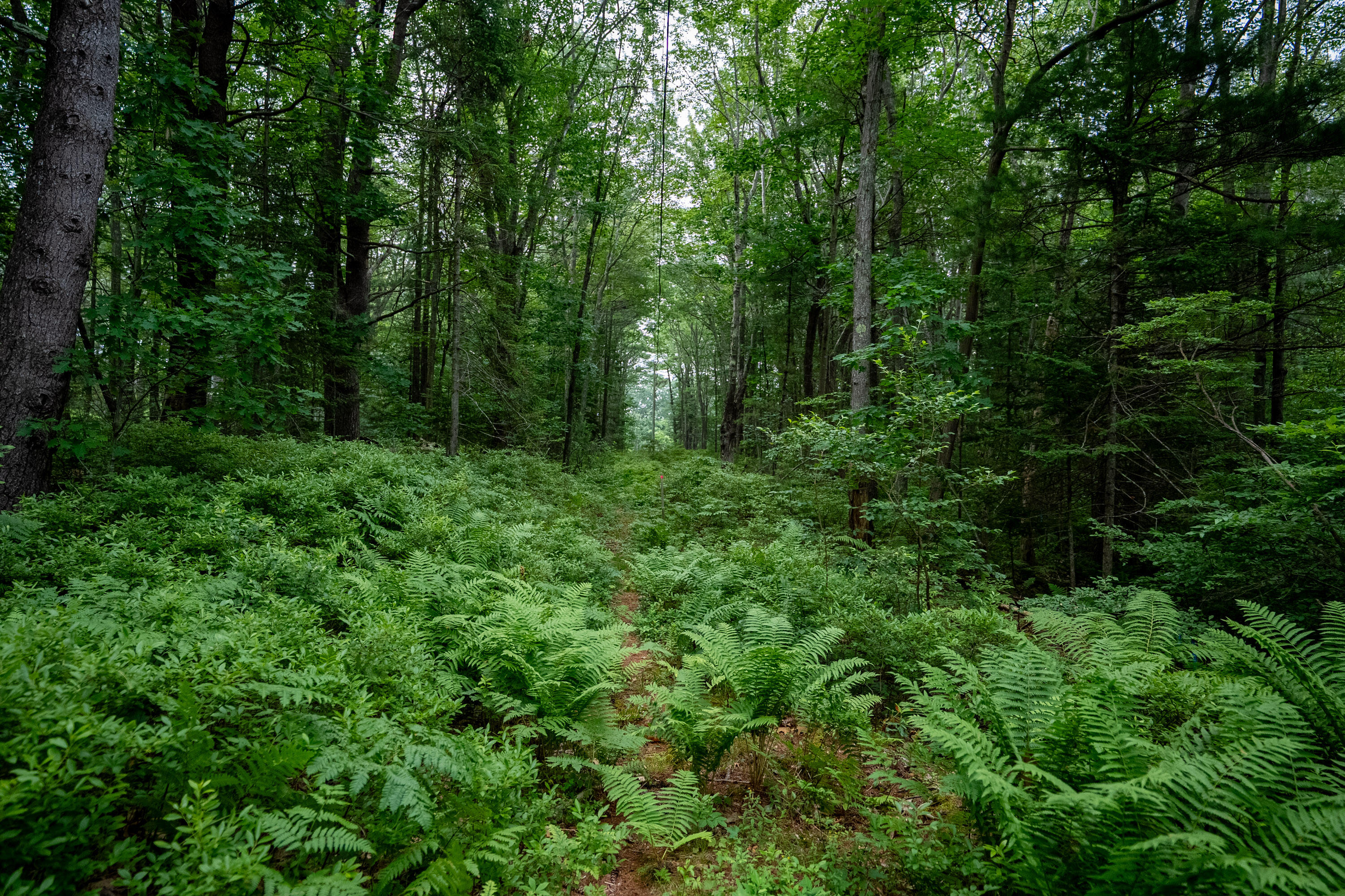 0 Wildes District Road Kennebunkport, ME 04046 - Photo 5 of 11 12_0 Wildes District Rd, Kennebunkport